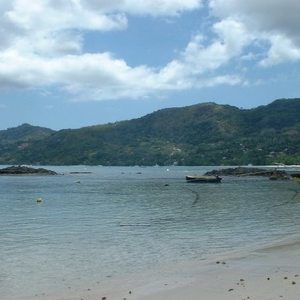 Meet your Posher, Meredith